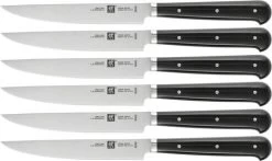 Zwilling Steakmessenset By Matteo Thun 6-delig
