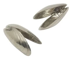 Oldenhof Zeeuws Mosselbestek Zilvertin 2 Stuks